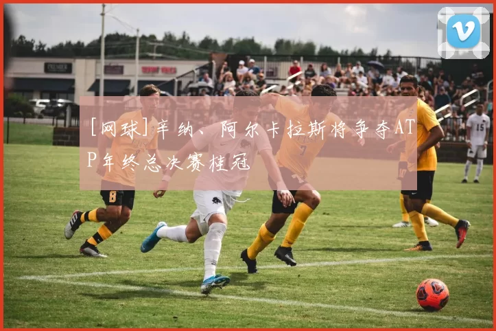 [网球]辛纳、阿尔卡拉斯将争夺ATP年终总决赛桂冠