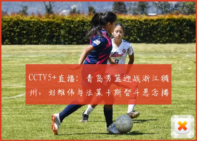 CCTV5+直播：青岛男篮迎战浙江稠州，刘维伟与法莱卡斯智斗悬念揭晓