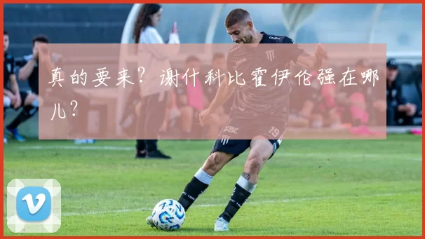 真的要来？谢什科比霍伊伦强在哪儿？