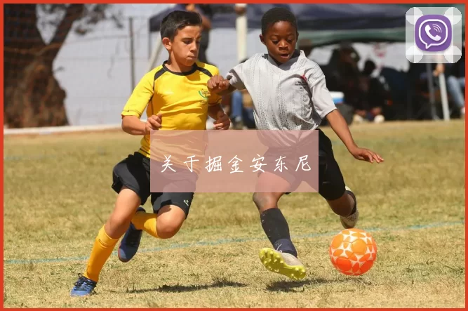 关于掘金安东尼