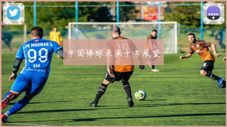 中国棒球未来十年展望