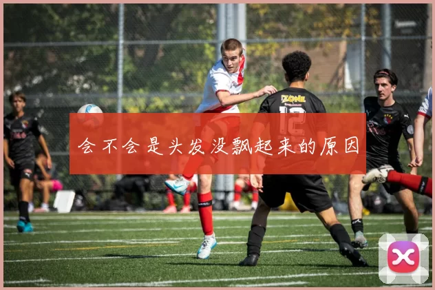 会不会是头发没飘起来的原因