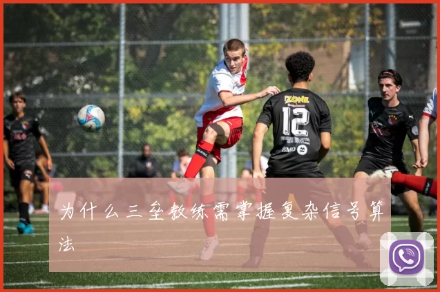 为什么三垒教练需掌握复杂信号算法