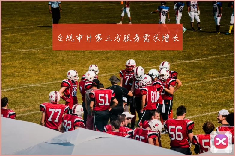 合规审计第三方服务需求增长